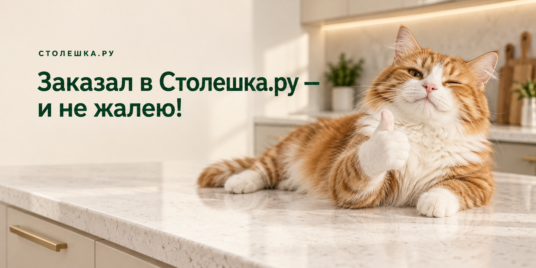 Довольный кот показывает большой палец вверх: Заказал в Столешка.ру — и не жалею!
