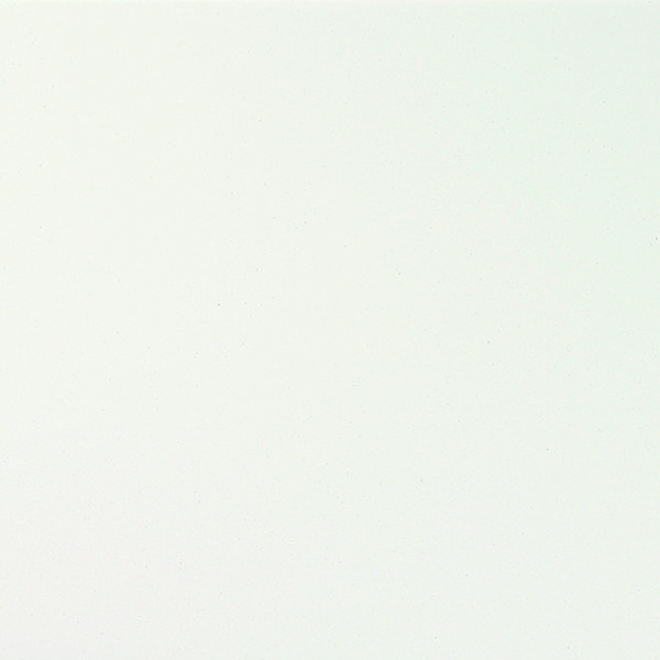 1194 White Glitter