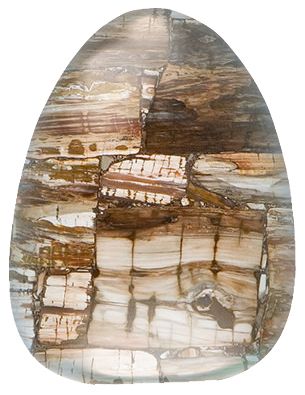 8331 Petrified Wood Classic