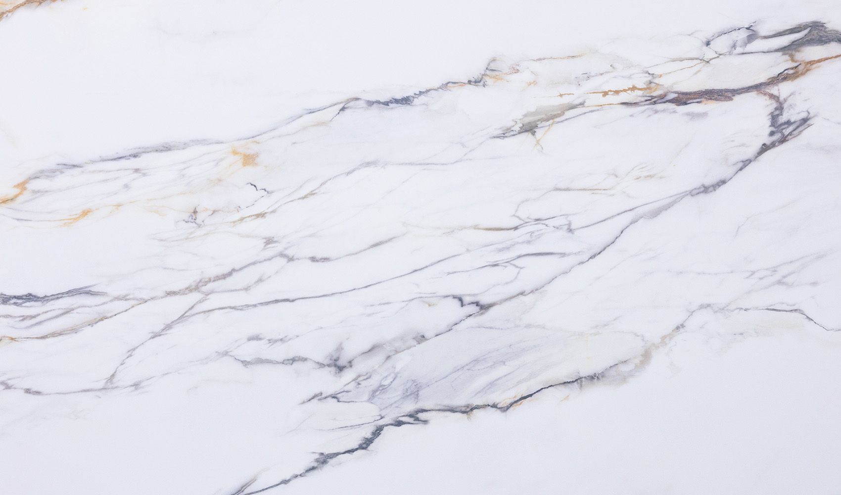 EQTM 018 Calacatta Borghini