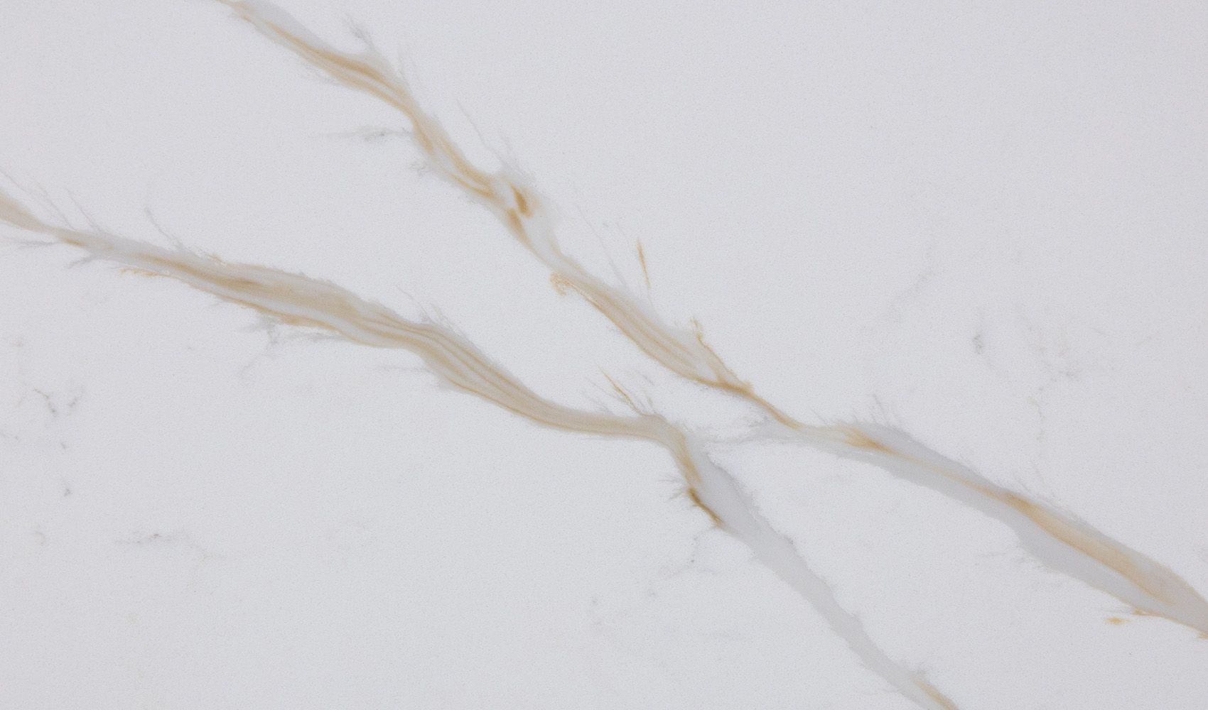 EQHM 002 Calacatta Venato