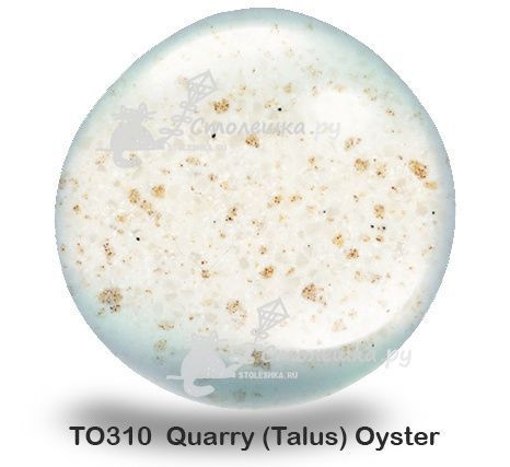 TO310 Quarry (Talus) Oyster (остаток 1,1х0,76 метра)