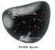TS-202 Apollo