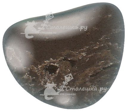 9009 Прованс