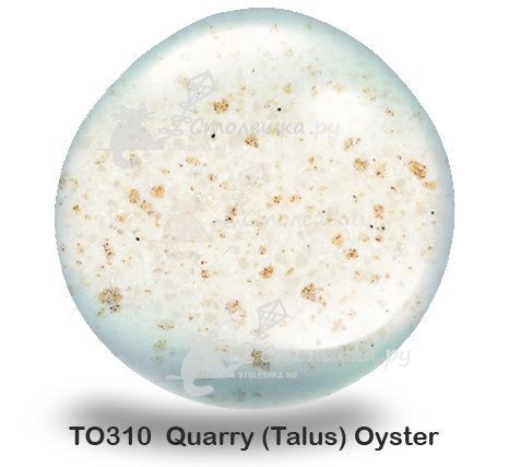 TO310 Quarry (Talus) Oyster (остаток 1,1х0,76 метра)