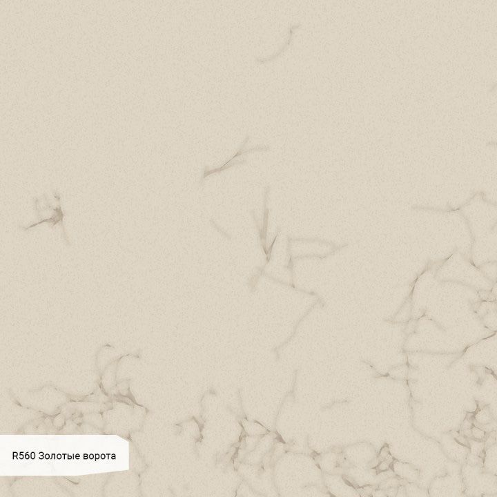 RM560 Золотые Ворота (матовый)