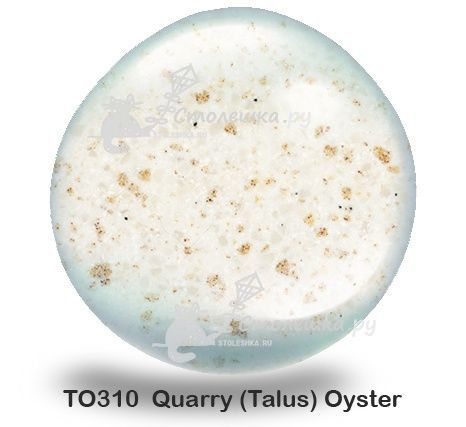 TO310 Quarry (Talus) Oyster (остаток 1,06х0,76 метра)