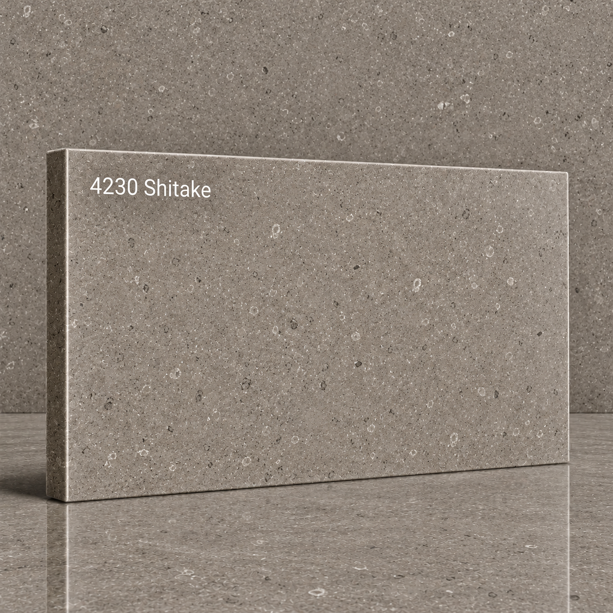 4230 Shitake