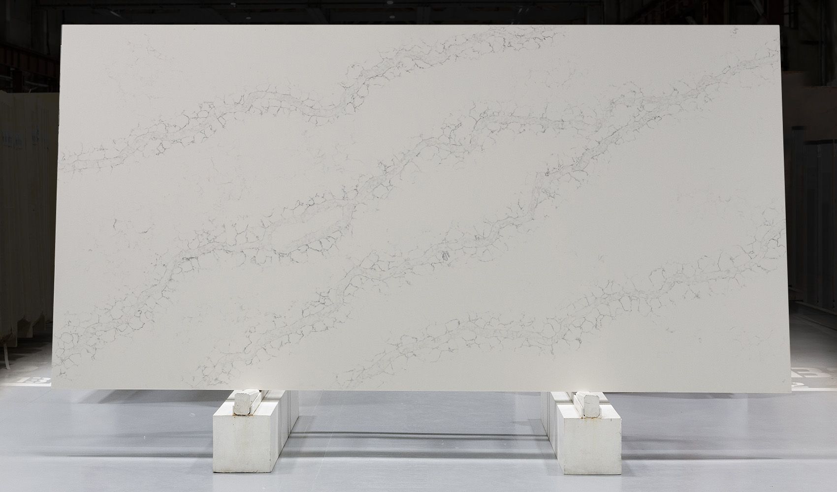 EQHM 003 Canvas