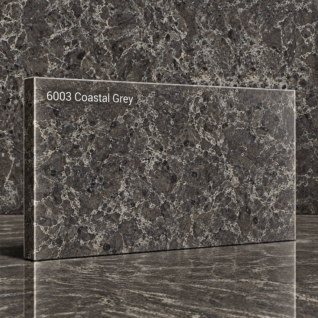 6003 Coastal Grey