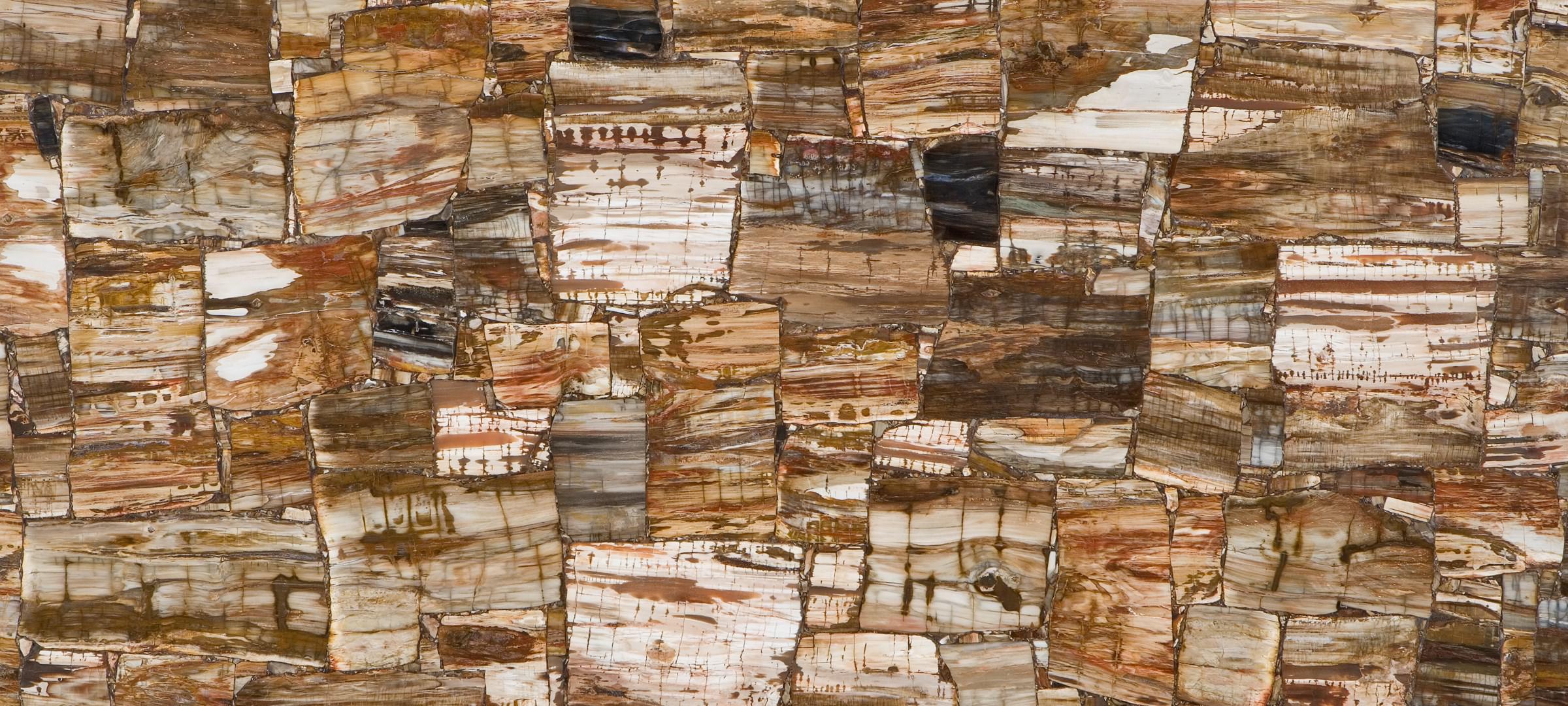 8331 Petrified Wood Classic