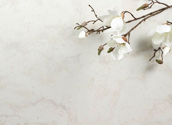 картинка VM143 Magnolia от Столешка ру